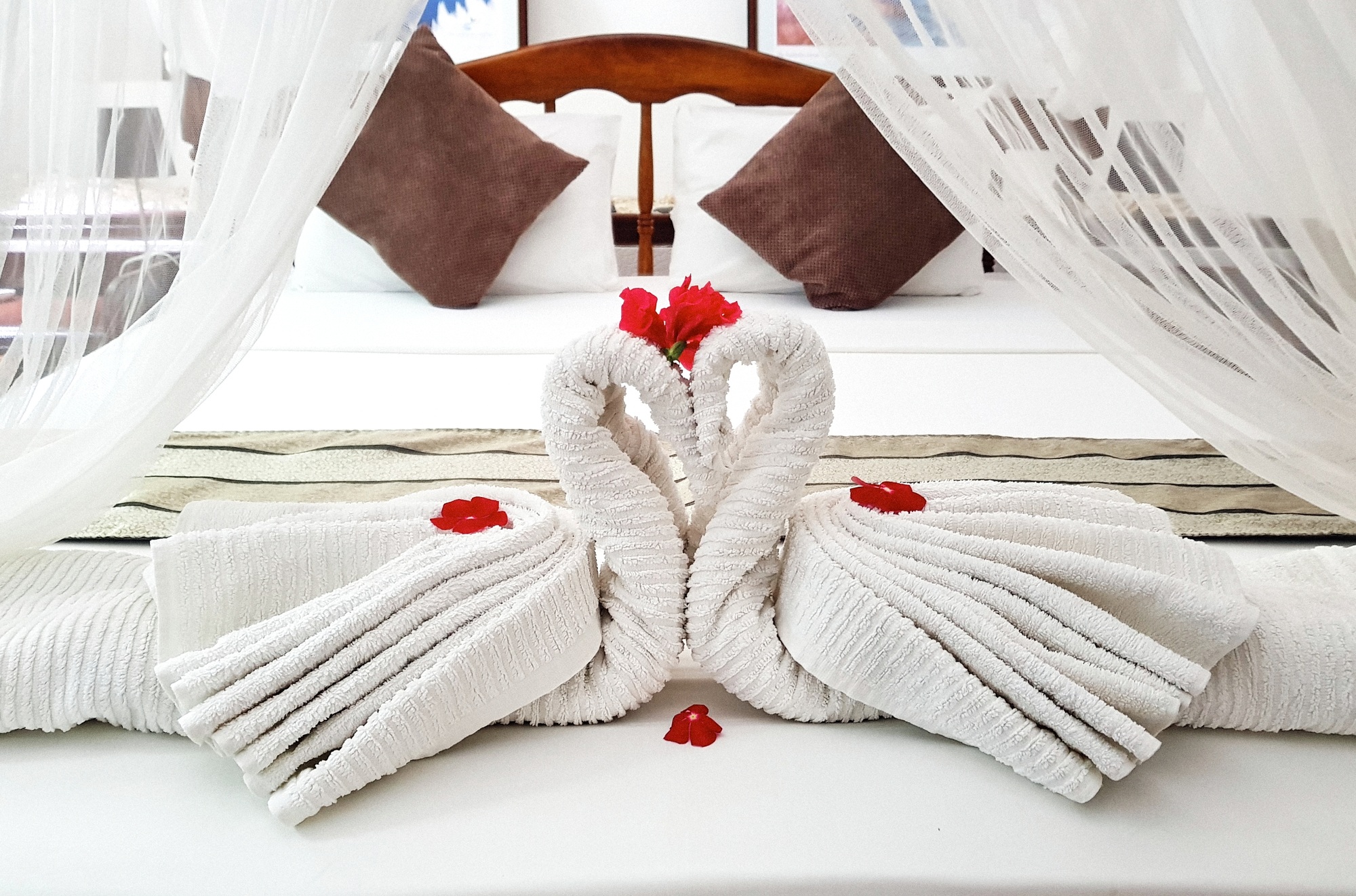 Towels shaped as swans in hotel room.